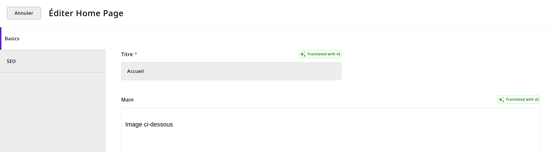 The SEO tab of the home page editing modal showing the metalable on the right side